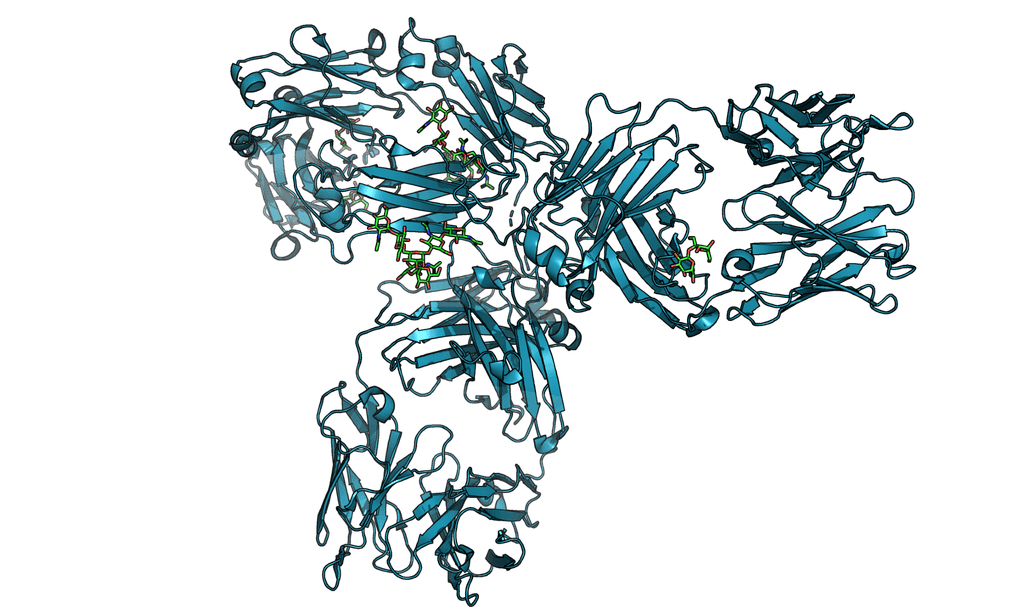 Antibody molecular illustration
